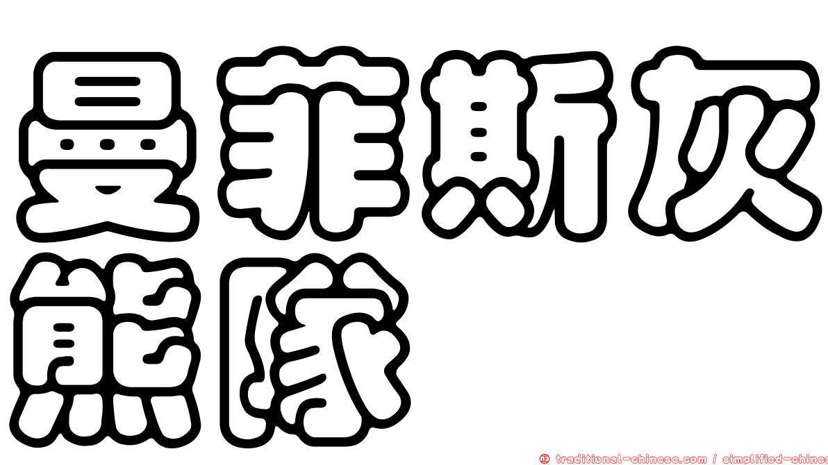 曼菲斯灰熊隊