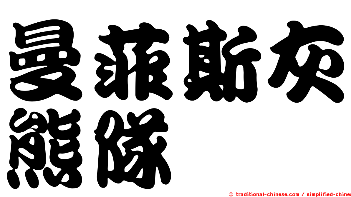 曼菲斯灰熊隊