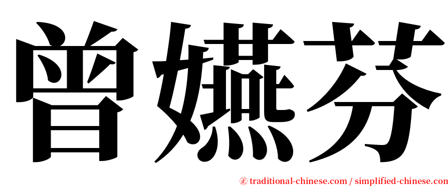 曾嬿芬 serif font