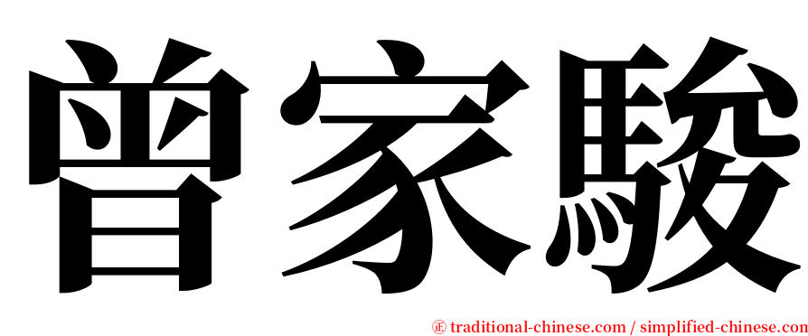 曾家駿 serif font