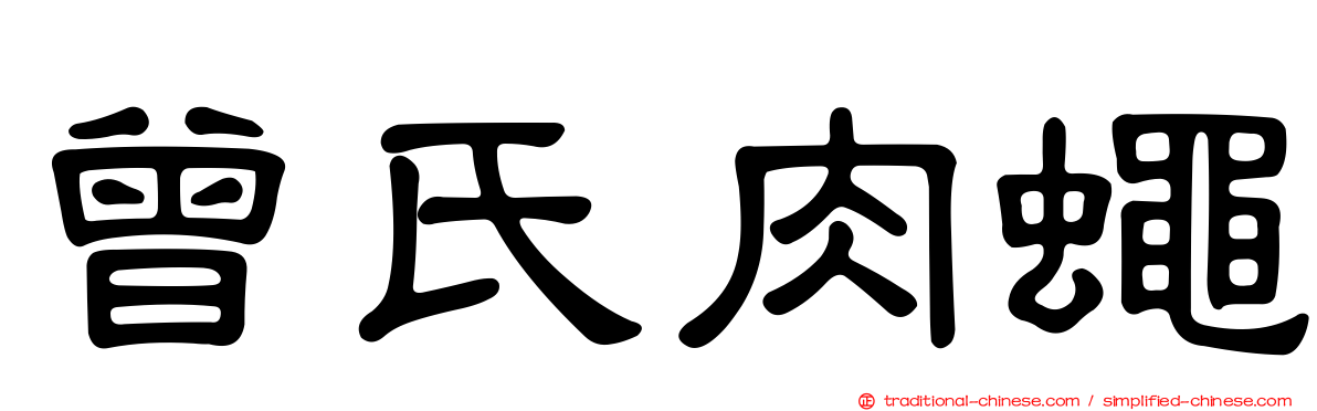 曾氏肉蠅