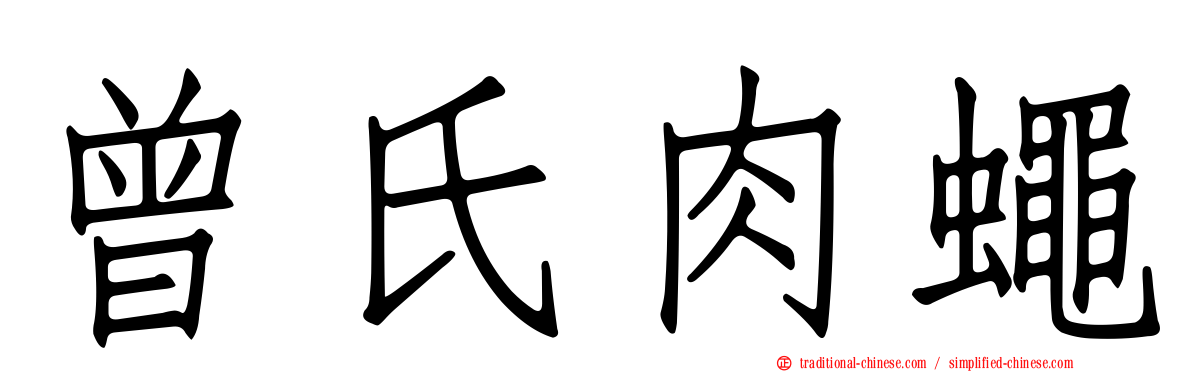 曾氏肉蠅