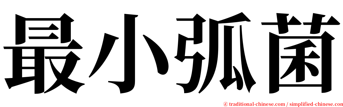 最小弧菌 serif font