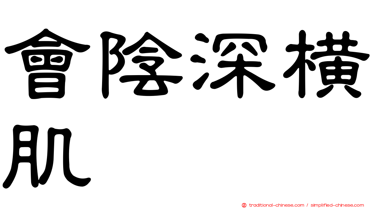 會陰深橫肌