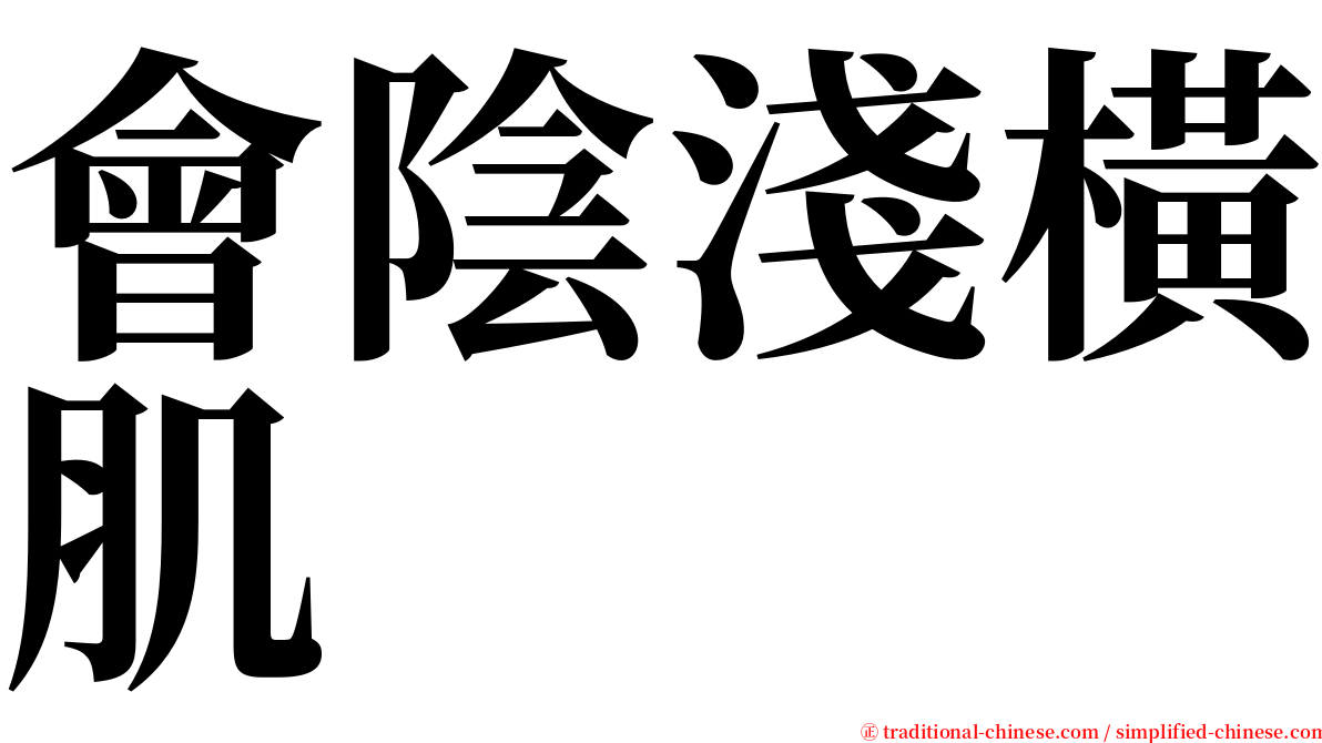 會陰淺橫肌 serif font