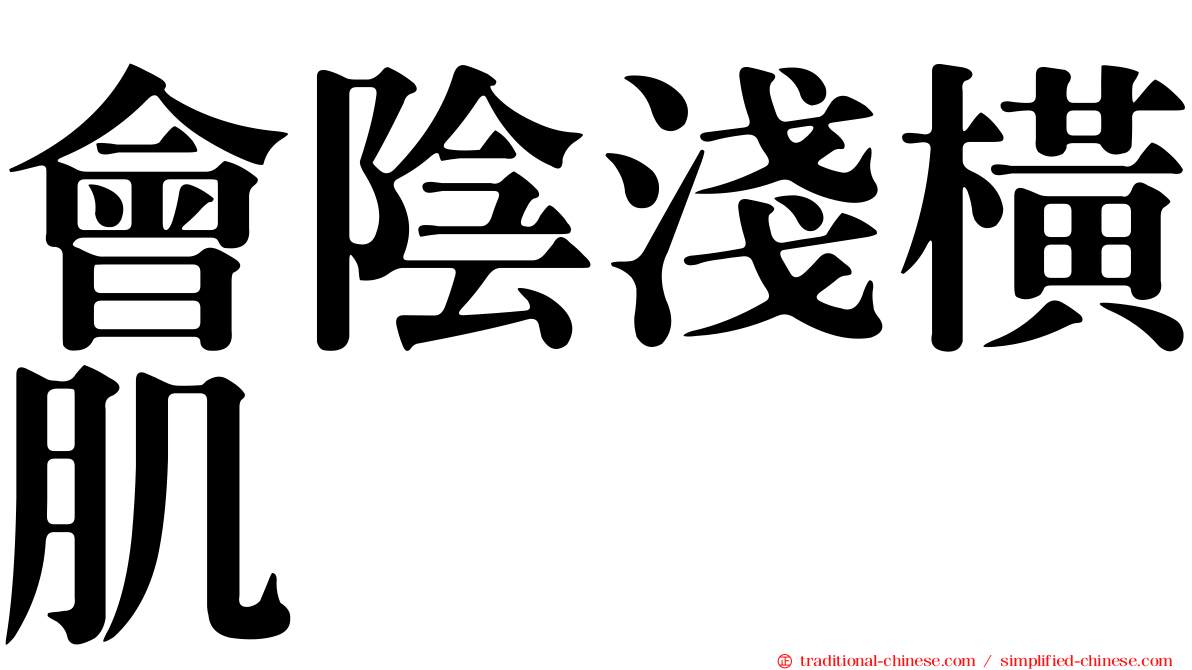 會陰淺橫肌