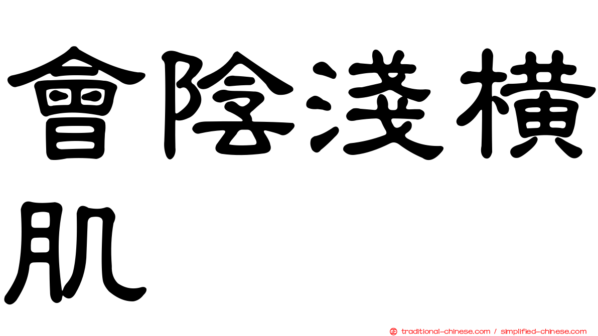會陰淺橫肌