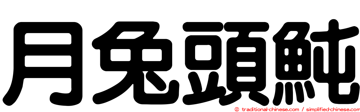 月兔頭魨