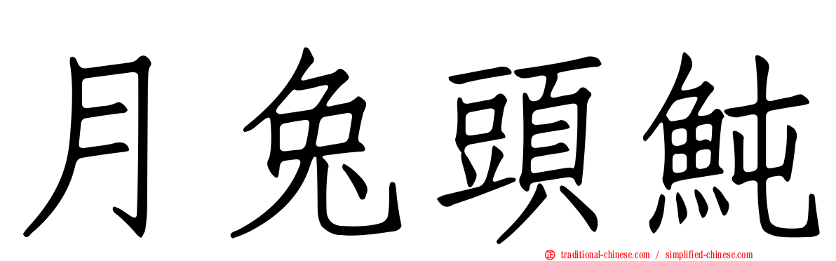 月兔頭魨