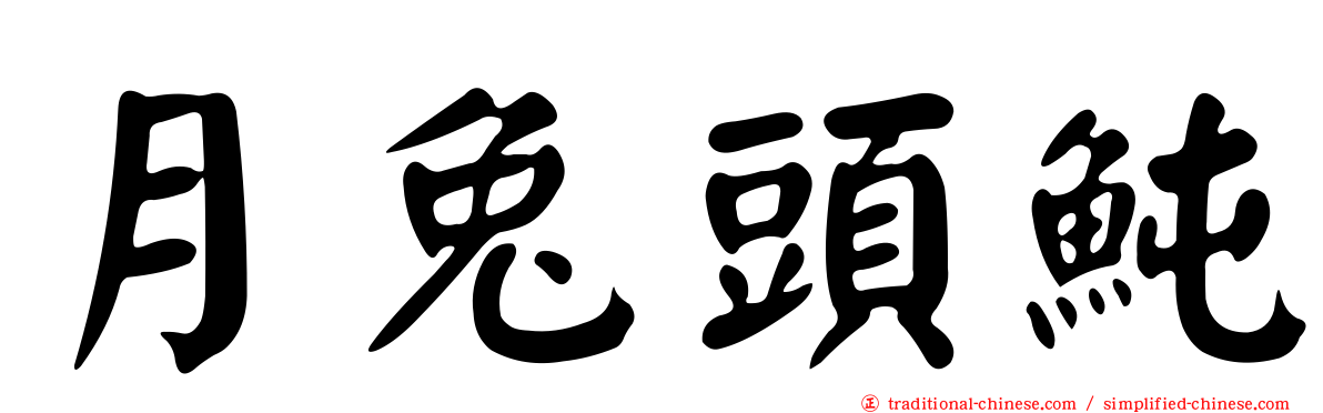 月兔頭魨
