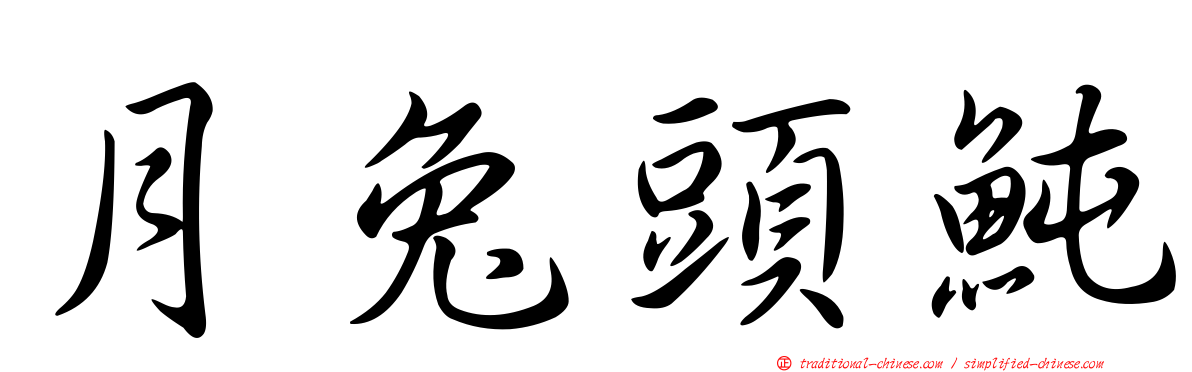 月兔頭魨