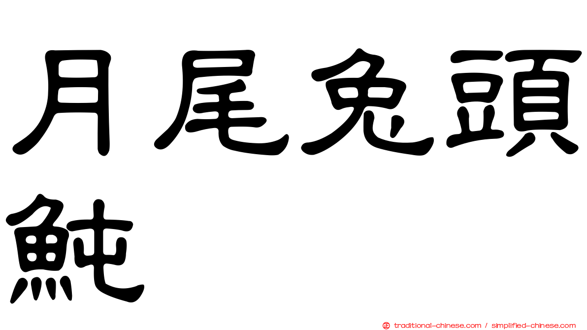 月尾兔頭魨