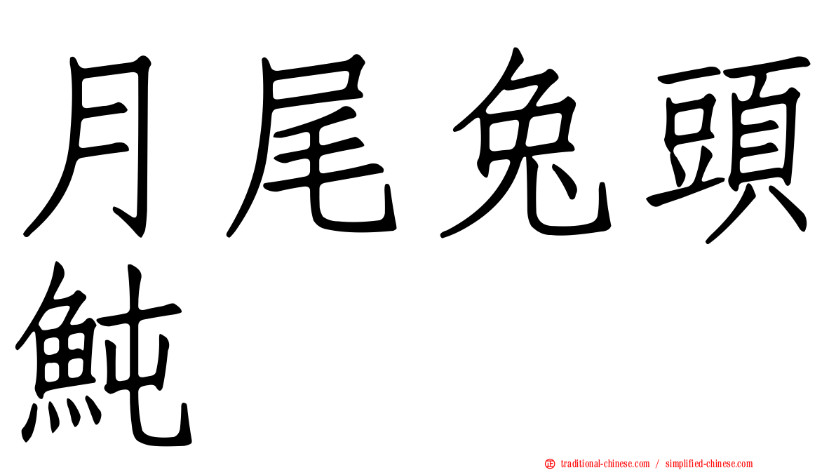 月尾兔頭魨