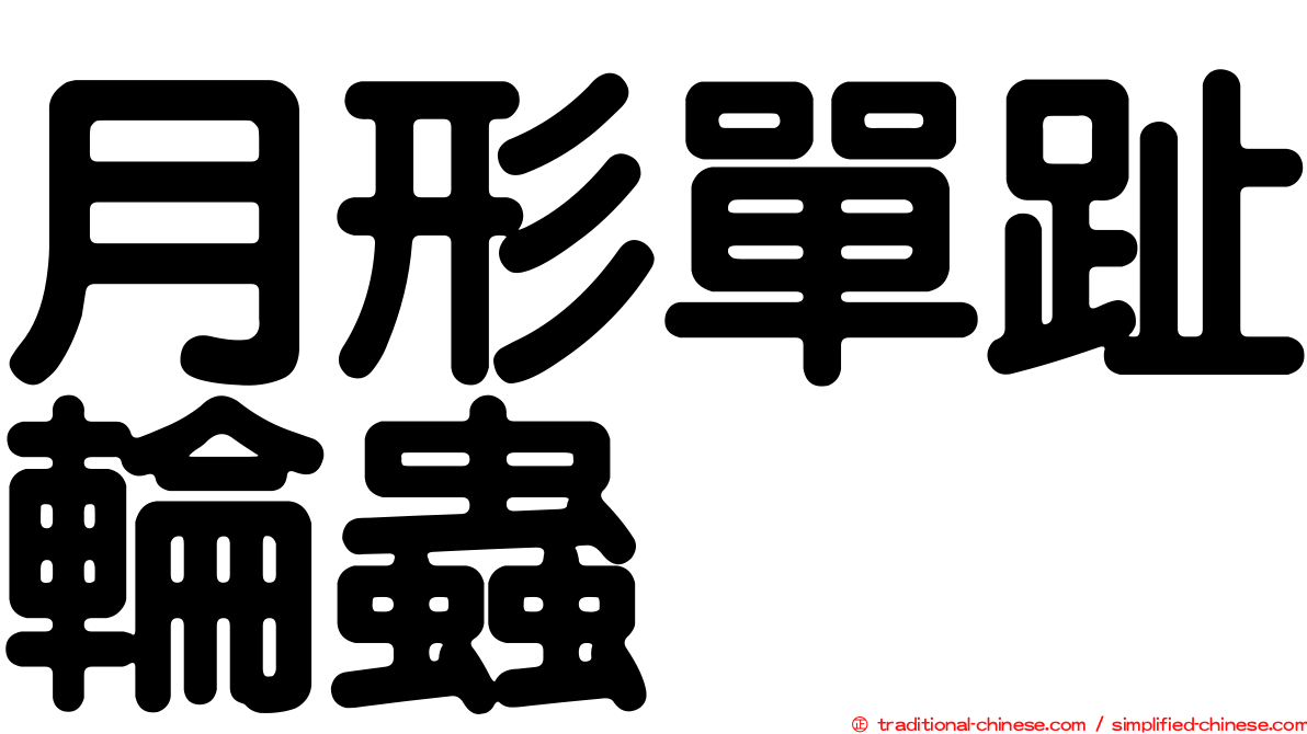 月形單趾輪蟲