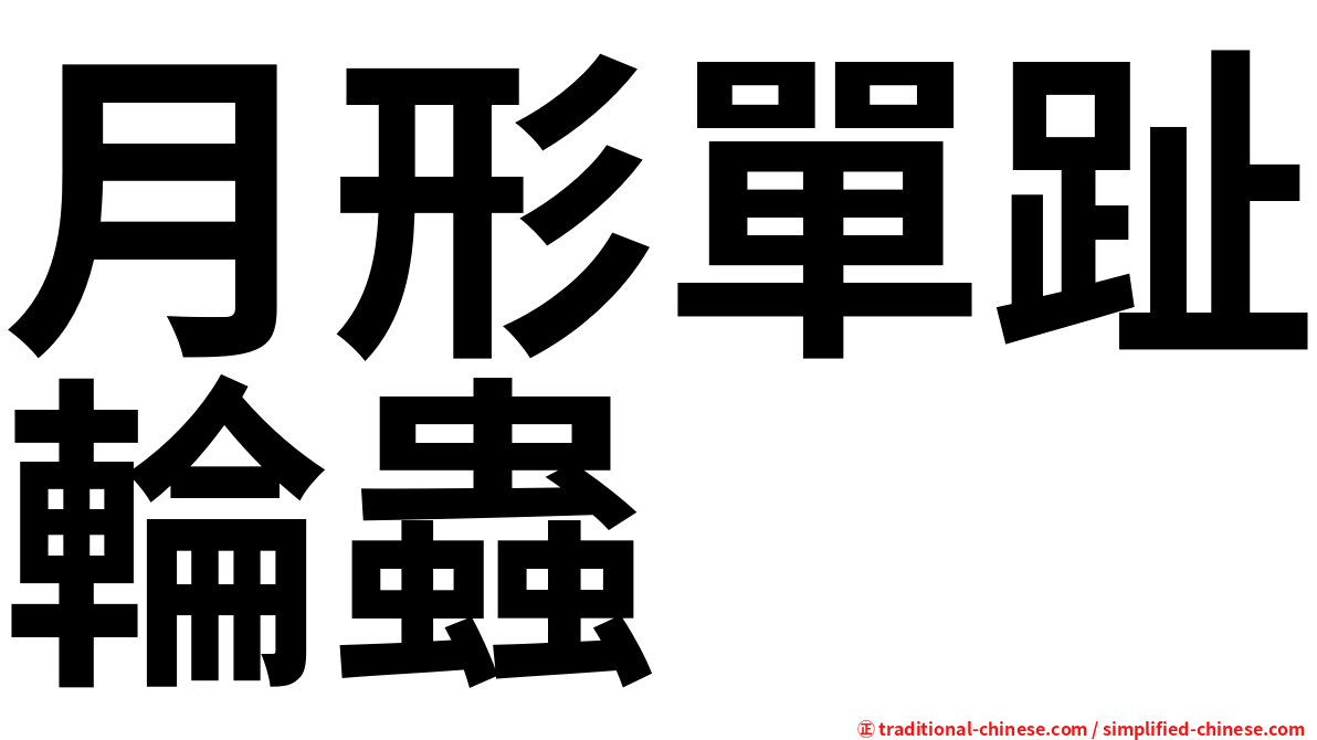 月形單趾輪蟲