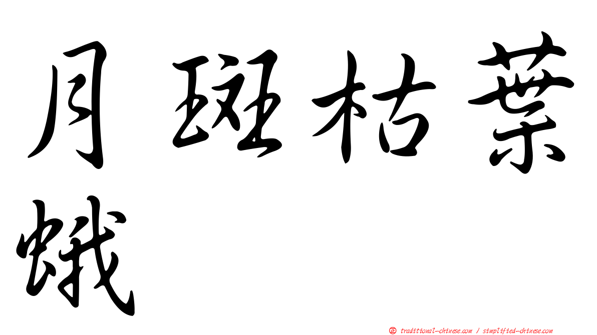 月斑枯葉蛾