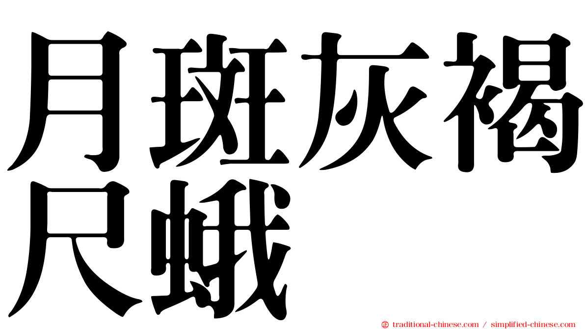 月斑灰褐尺蛾