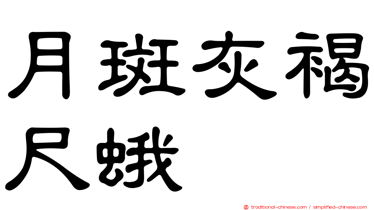 月斑灰褐尺蛾