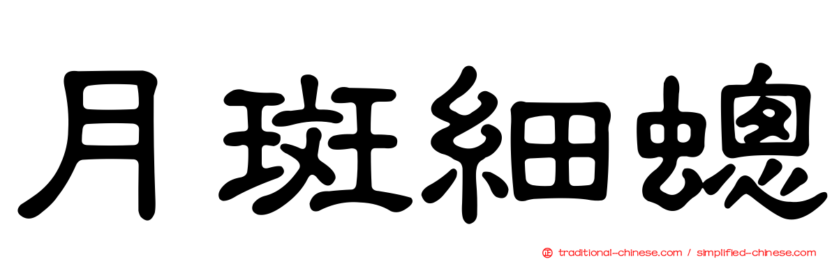 月斑細蟌