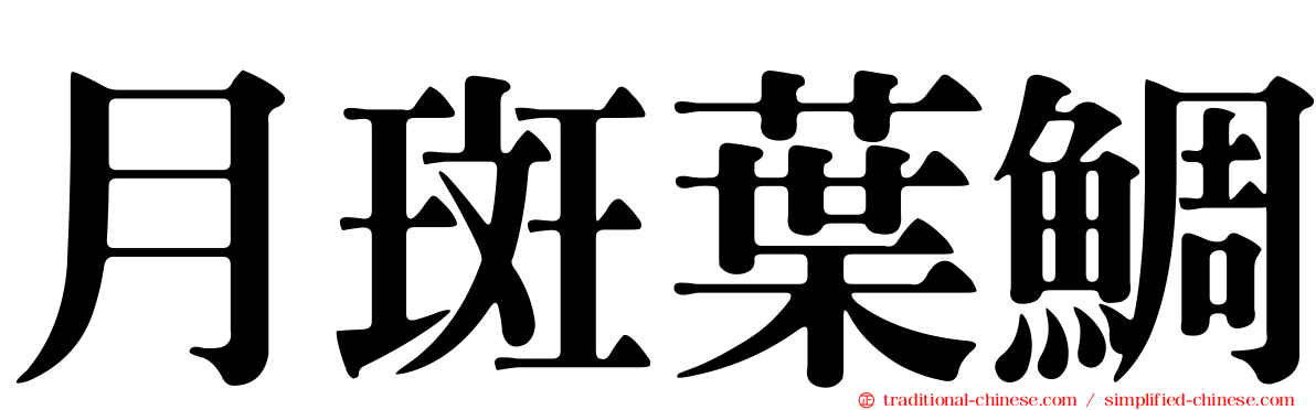 月斑葉鯛