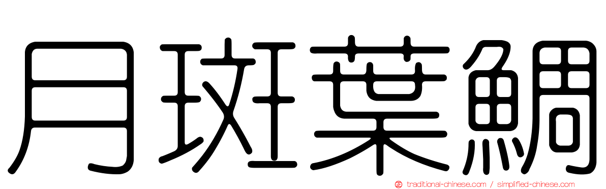 月斑葉鯛