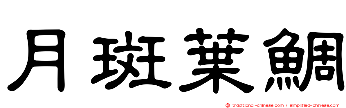 月斑葉鯛