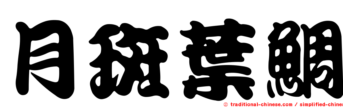 月斑葉鯛