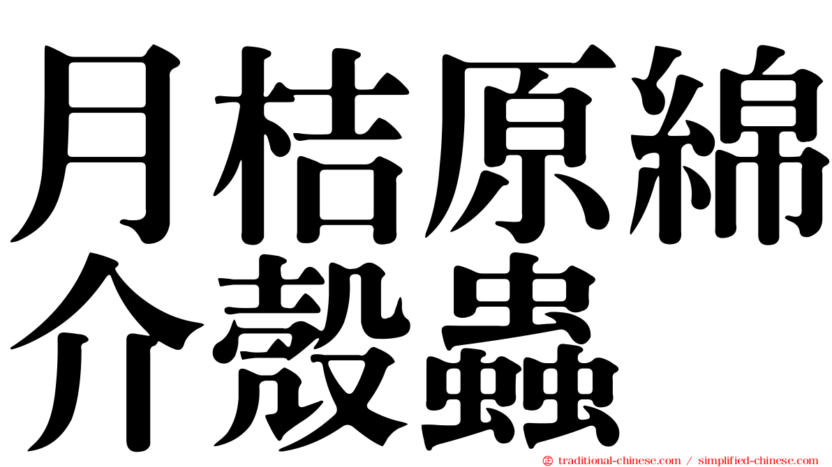月桔原綿介殼蟲
