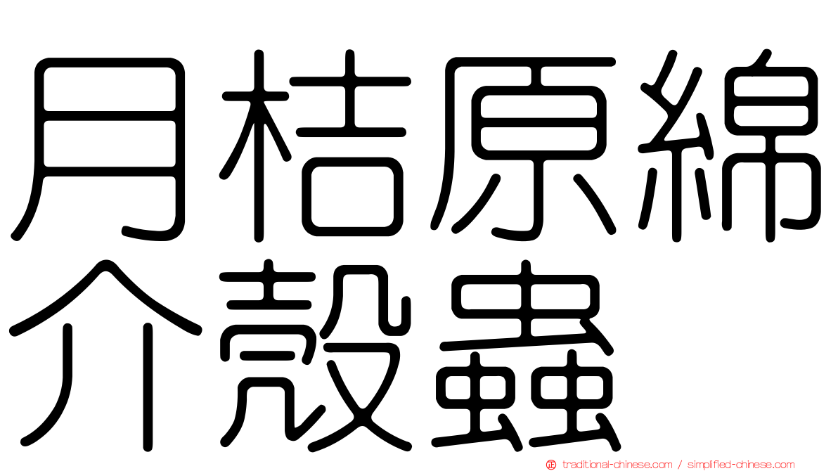 月桔原綿介殼蟲