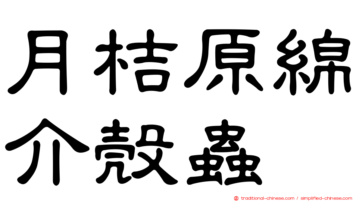月桔原綿介殼蟲