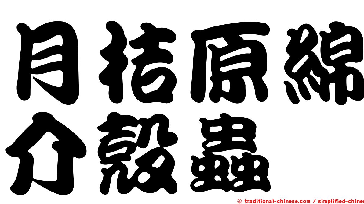月桔原綿介殼蟲