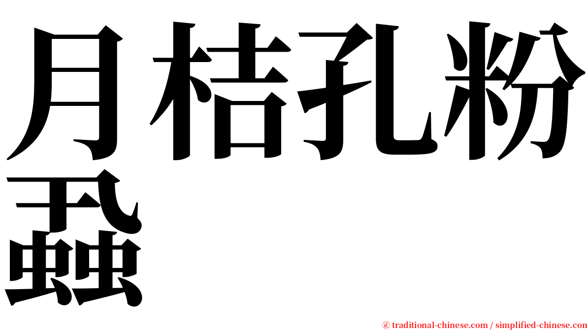 月桔孔粉蝨 serif font
