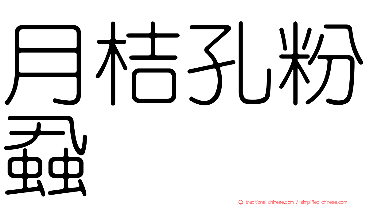 月桔孔粉蝨