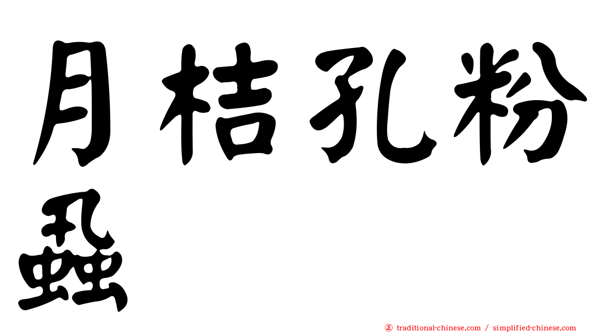 月桔孔粉蝨