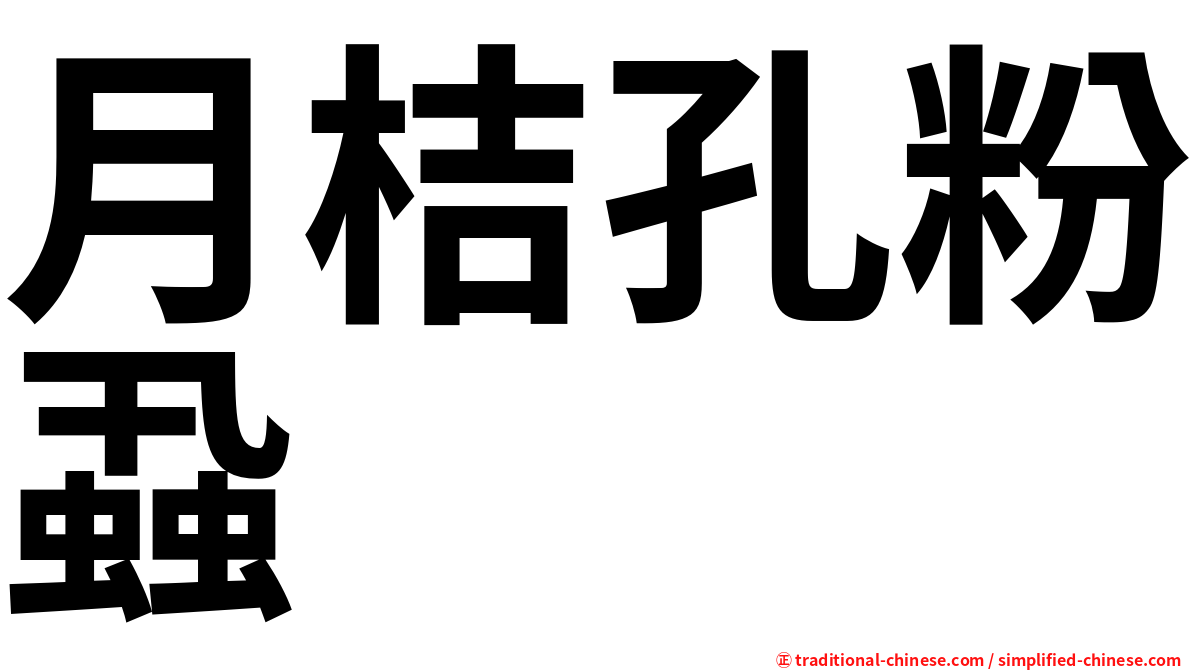 月桔孔粉蝨