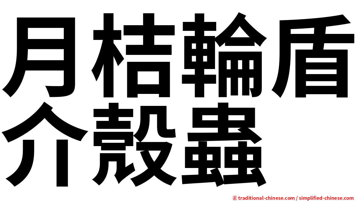 月桔輪盾介殼蟲