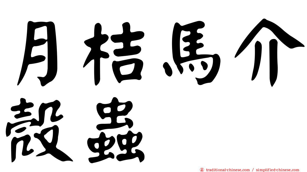 月桔馬介殼蟲