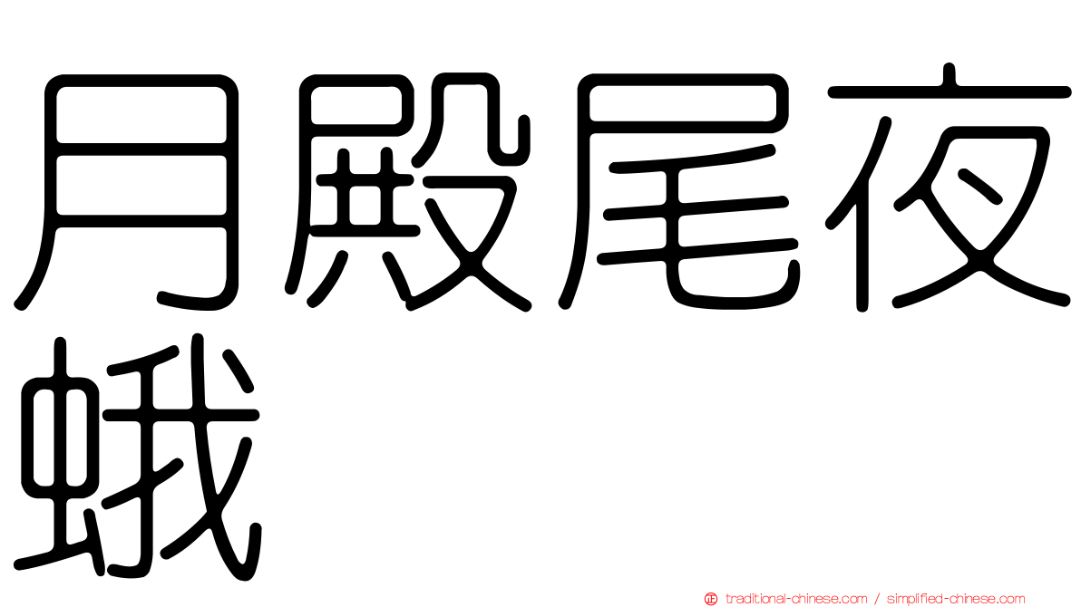 月殿尾夜蛾