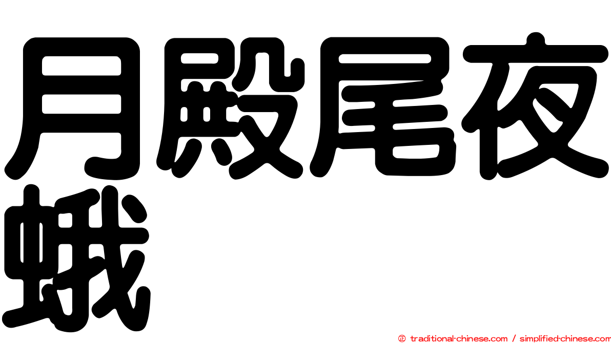 月殿尾夜蛾