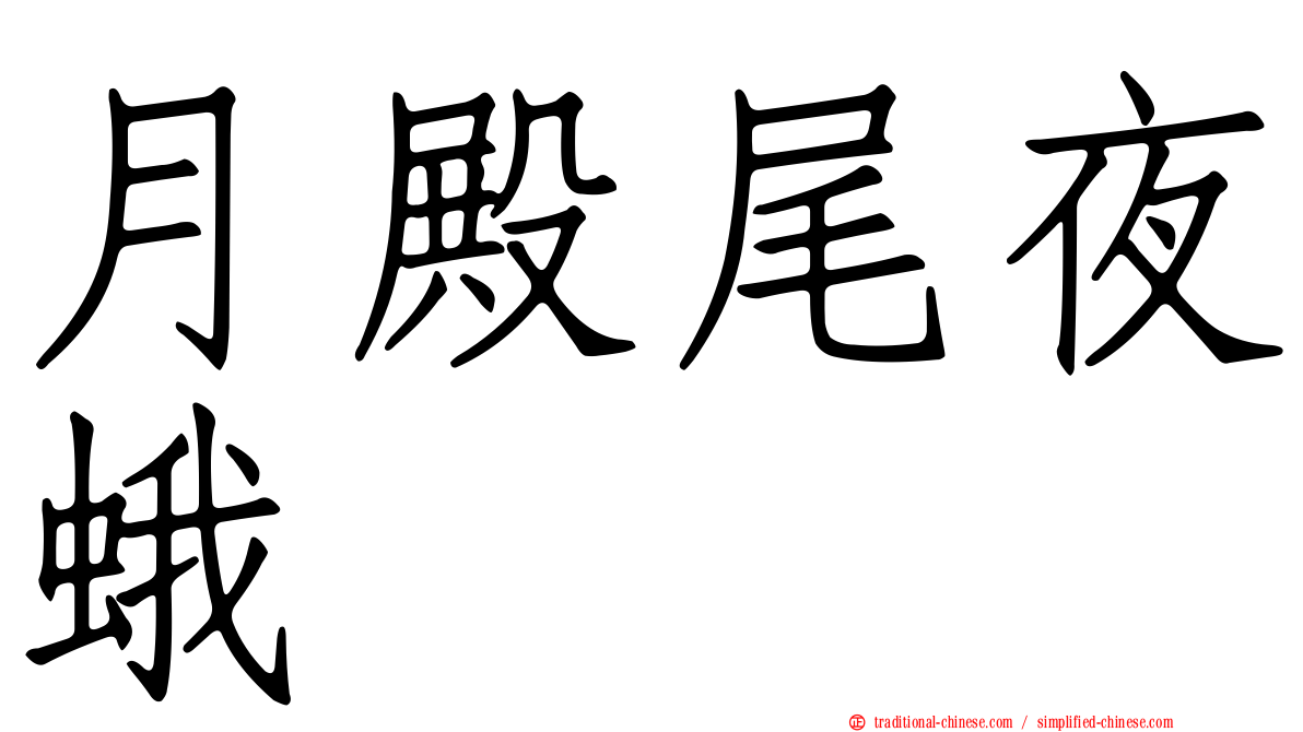 月殿尾夜蛾