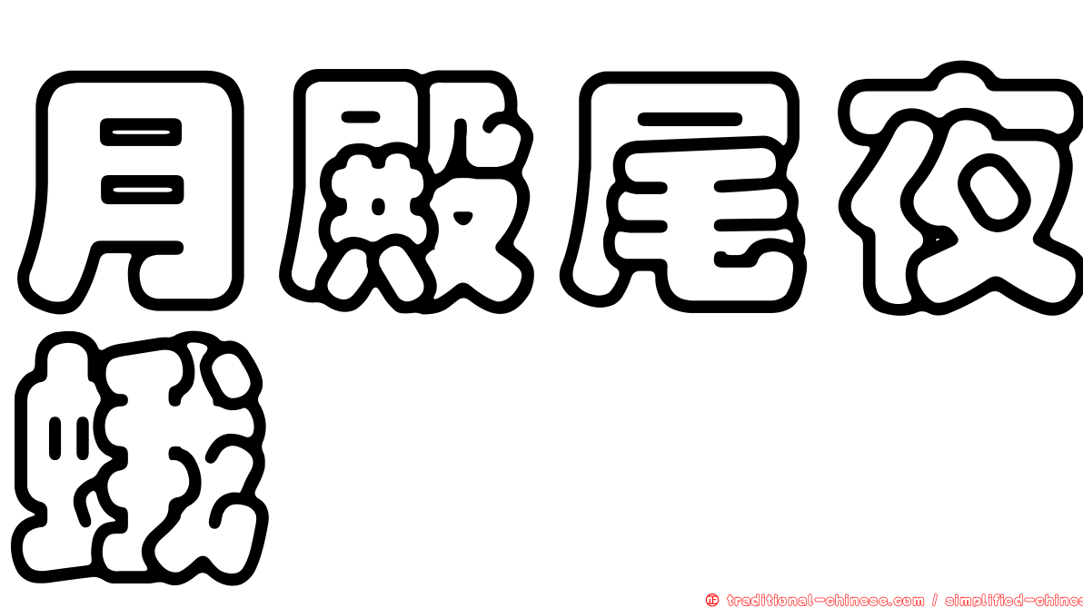 月殿尾夜蛾