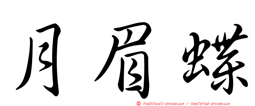 月眉蝶