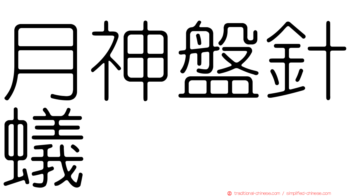 月神盤針蟻