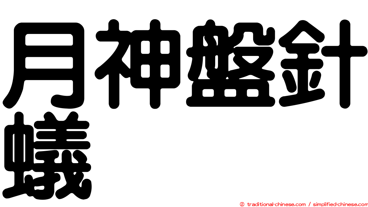 月神盤針蟻