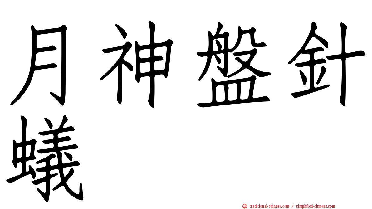 月神盤針蟻