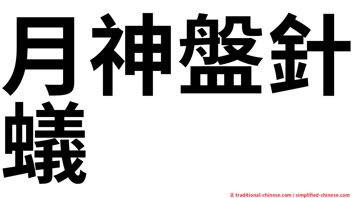 月神盤針蟻