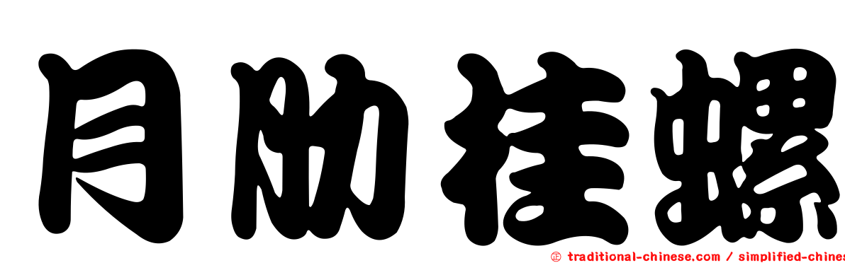 月肋桂螺
