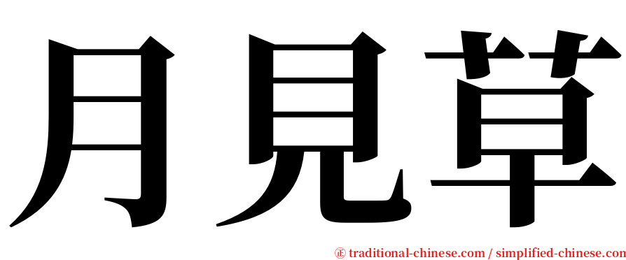 月見草 serif font