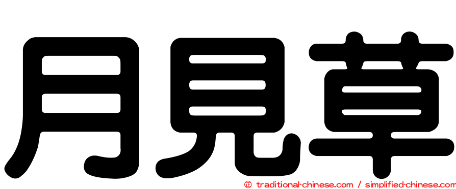 月見草
