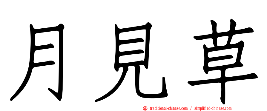 月見草